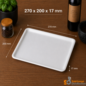 Plat glacière blanc 20x27x1,7cm