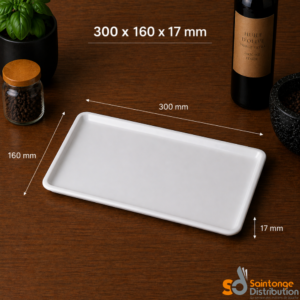 Plat glacière blanc 30x16x1,7cm