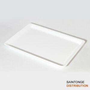 Plat glacière blanc 20x27x1,7cm