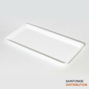 Plat glacière blanc 30x16x1,7cm